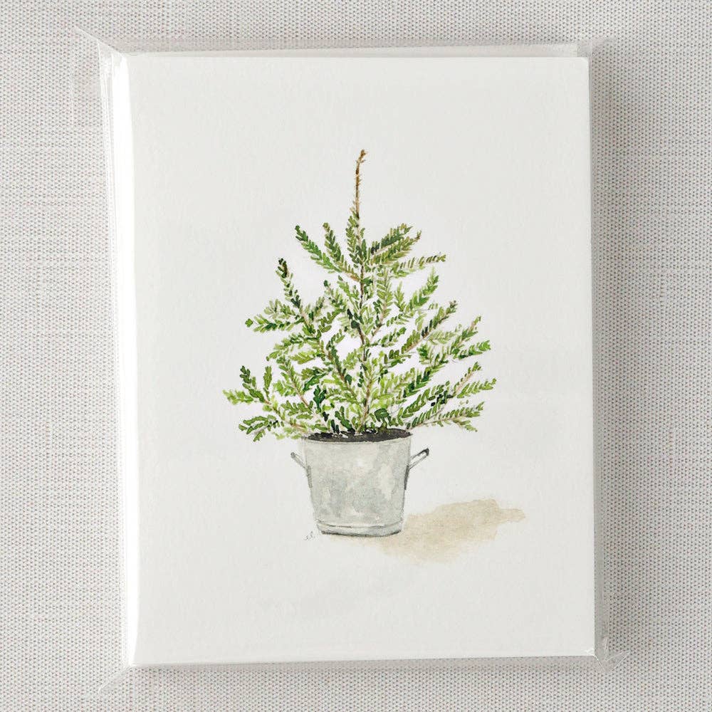 Evergreen notecard set