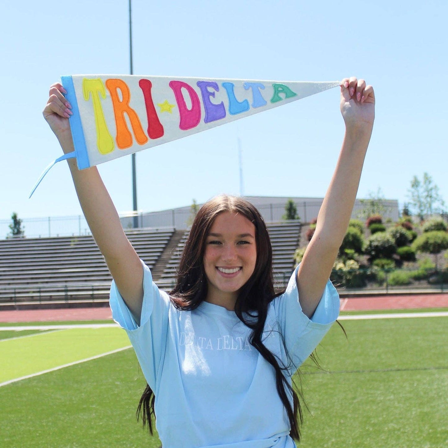 Sorority Rainbow Pennant Flag