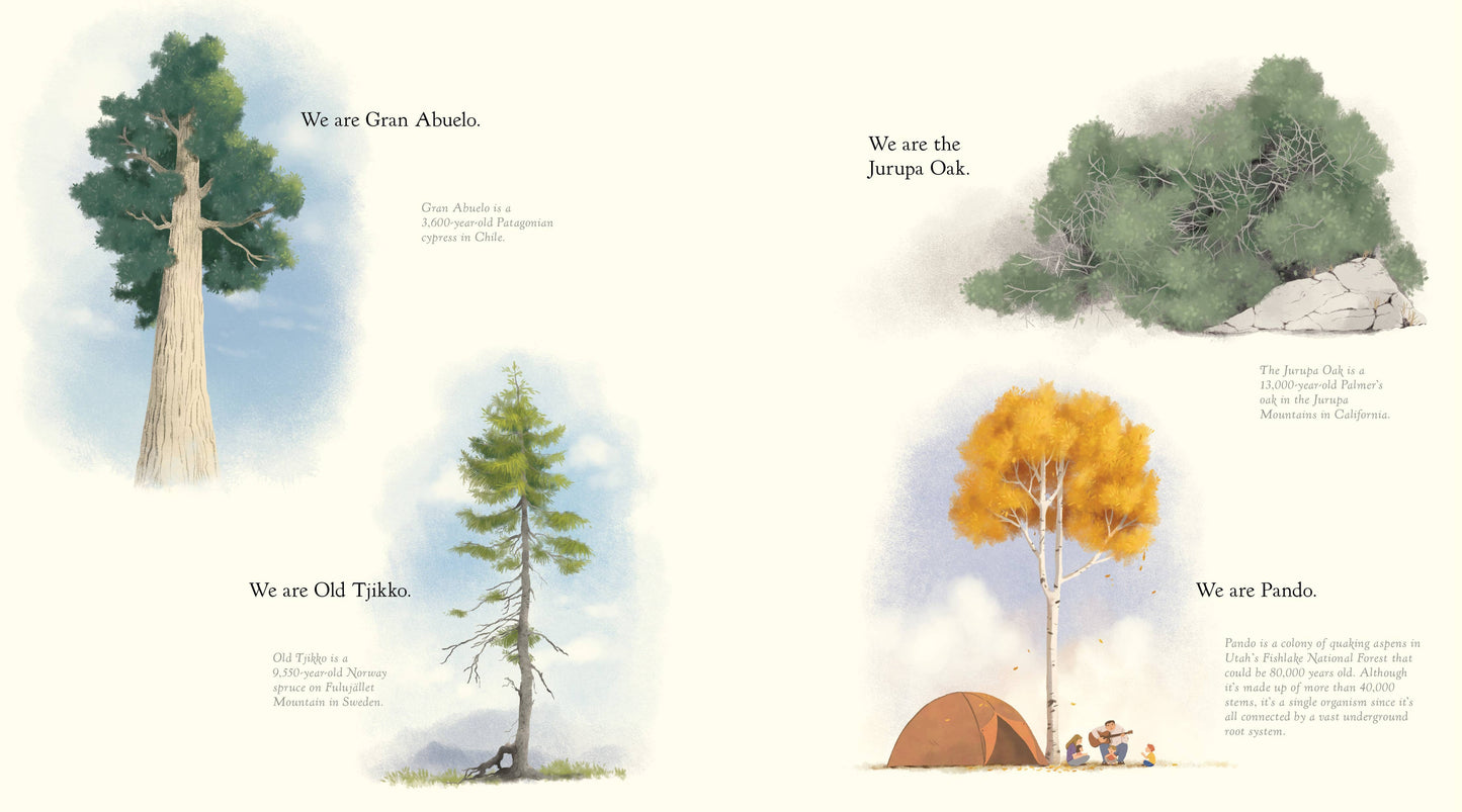 The Witness Trees (Children's Book)