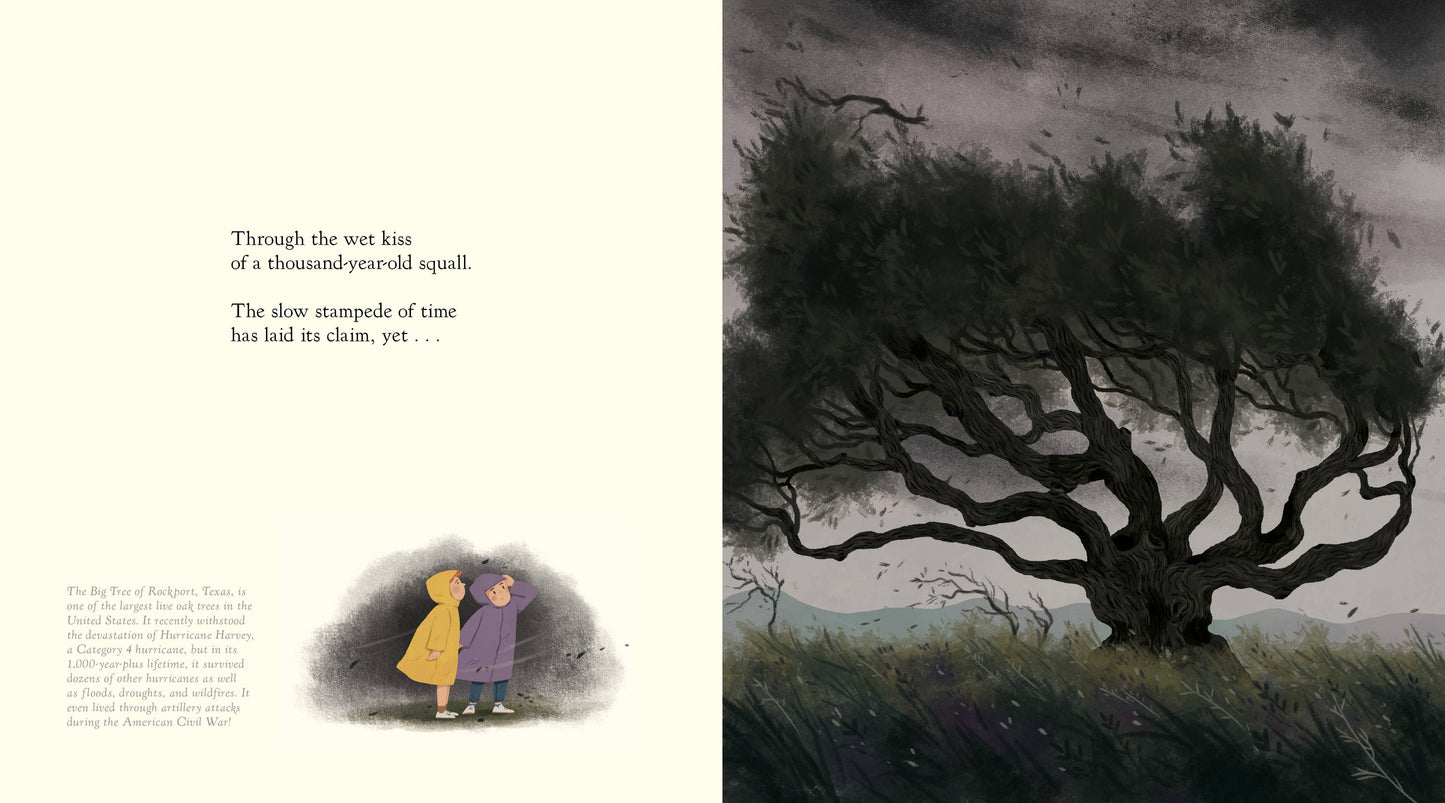 The Witness Trees (Children's Book)