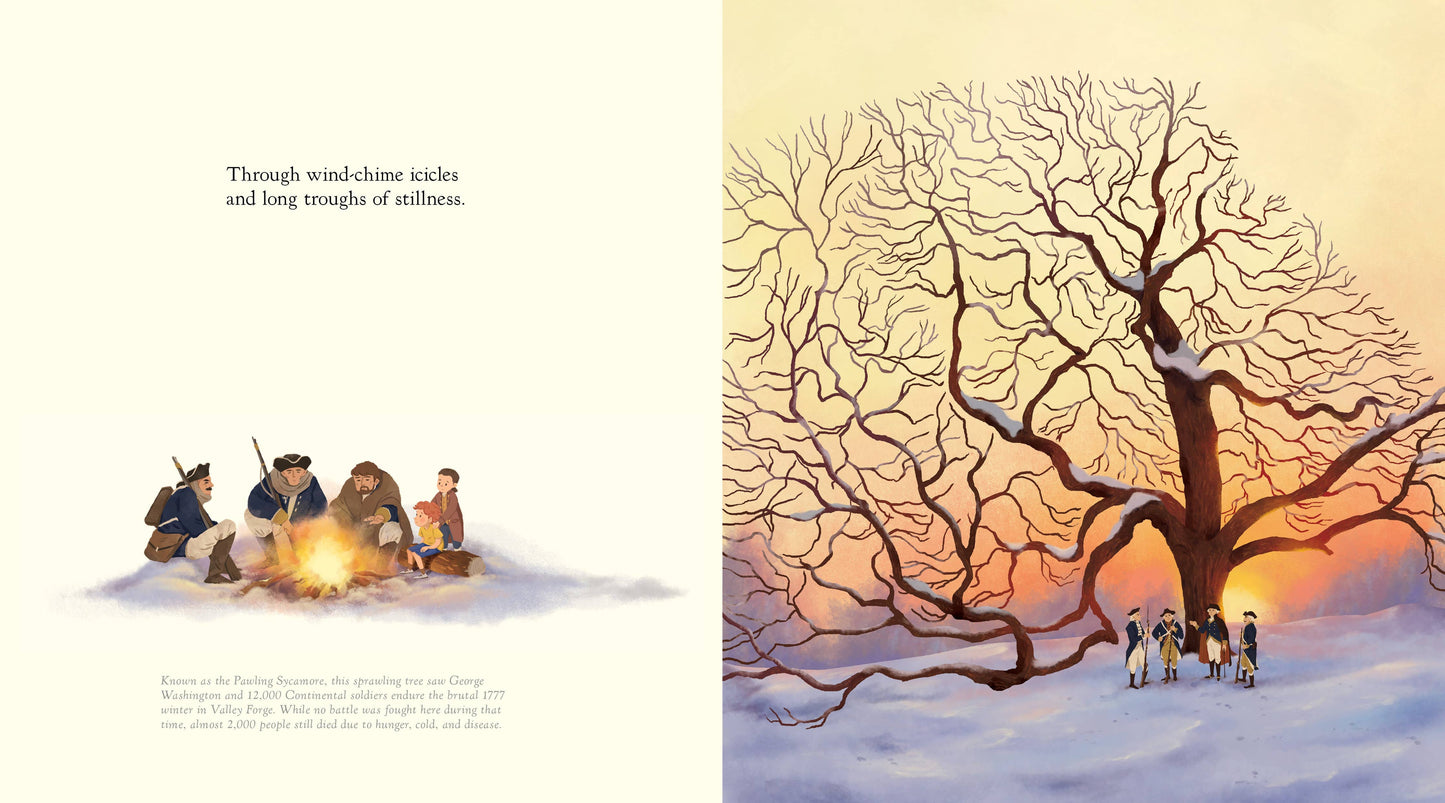 The Witness Trees (Children's Book)