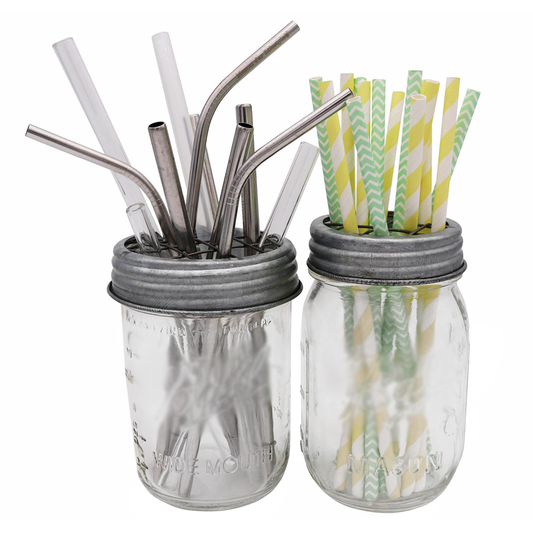 Galvanized Metal Flower Organizer Frog Lid for Mason Jars