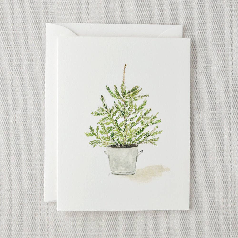 Evergreen notecard set