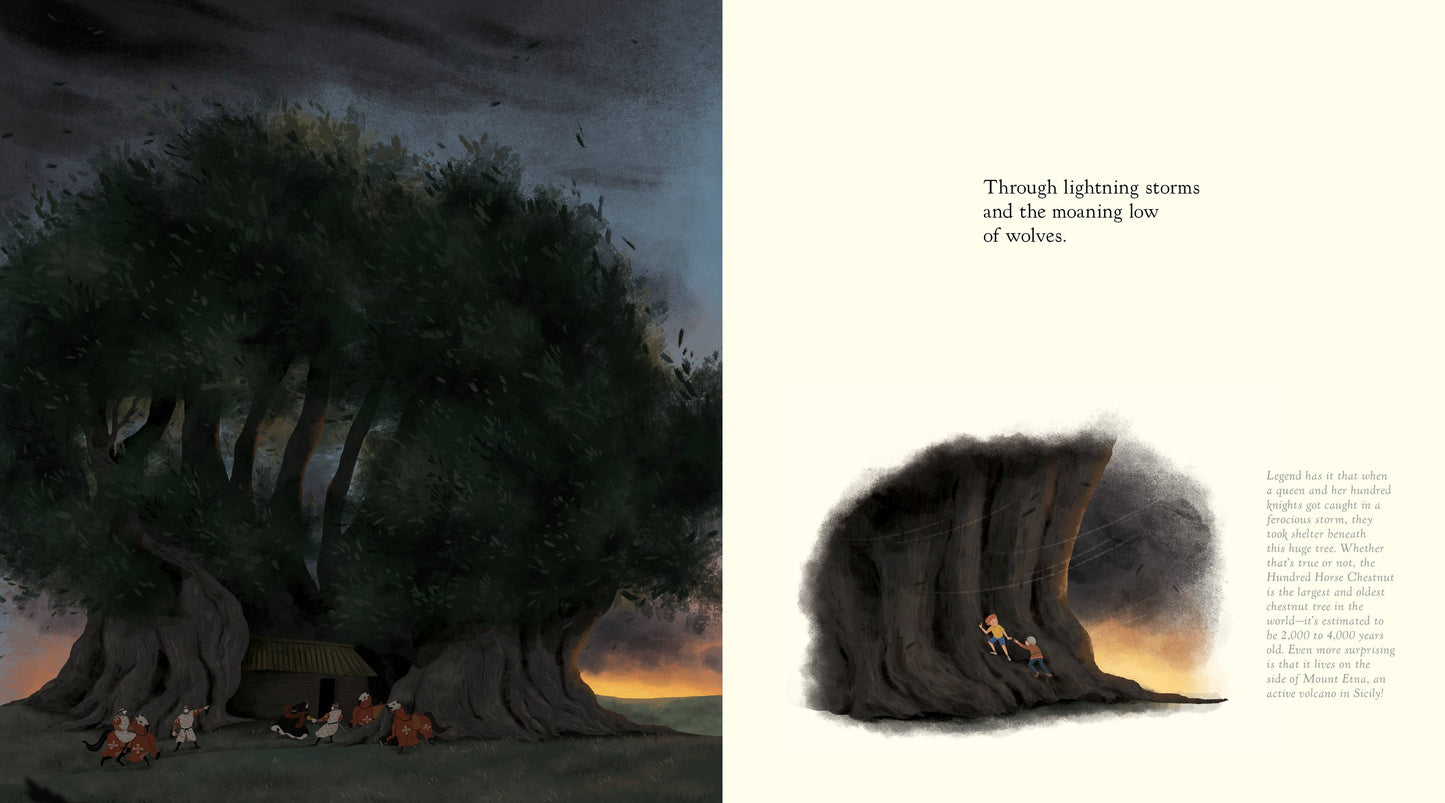 The Witness Trees (Children's Book)